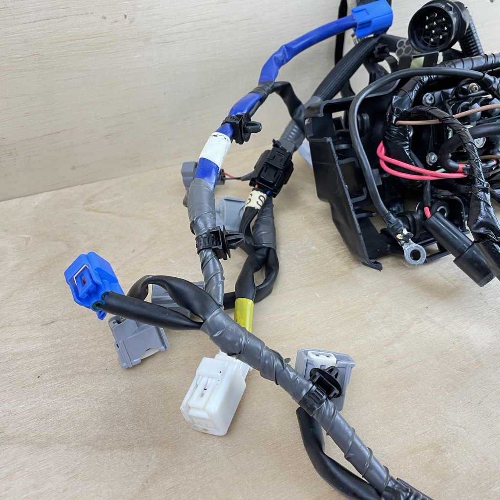 2010 Yamaha 90HP 4 Stroke Engine Wire Harness Assembly 6D8-82590-30-00