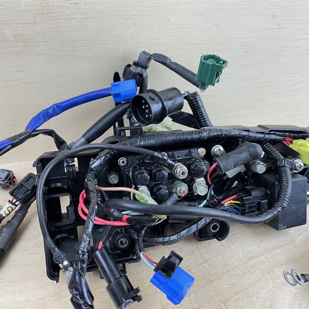 2010 Yamaha 90HP 4 Stroke Engine Wire Harness Assembly 6D8-82590-30-00