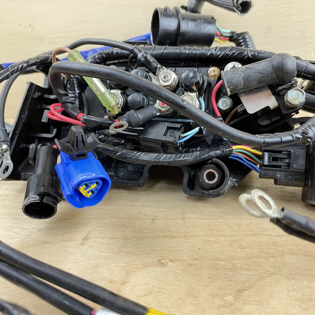 2010 Yamaha 90HP 4 Stroke Engine Wire Harness Assembly 6D8-82590-30-00