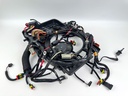 2008 Evinrude 115HP 2 Stroke Etec Outboard Engine Wire Harness 0586891 OEM