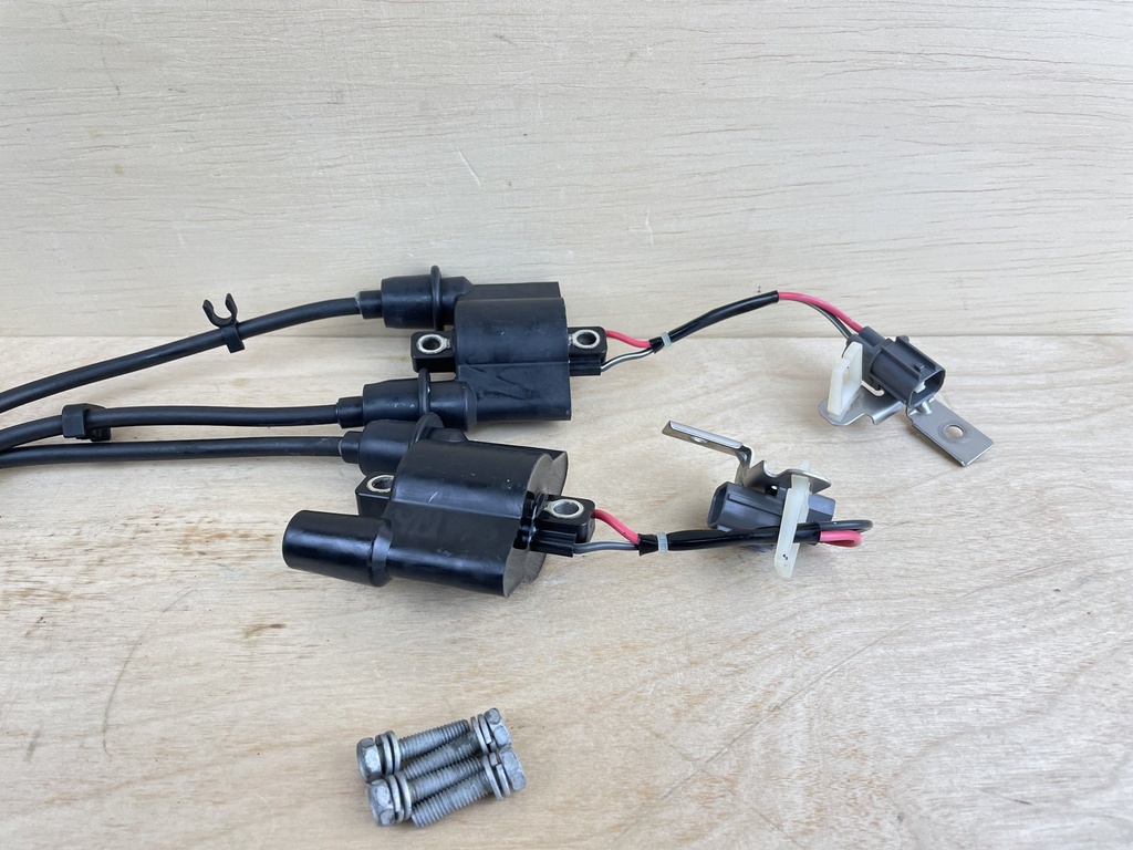 2009 Yamaha 150HP Outboard Engine Ignition Coil Assembly Pair 63P-82310-01-00