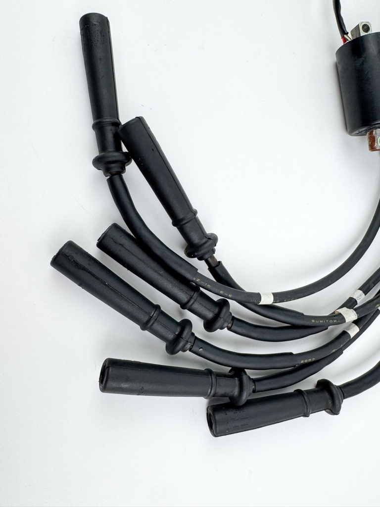 2004 Yamaha 225 HP 4 Stroke Outboard Ignition Coil Set 69J-82310-00-00 OEM