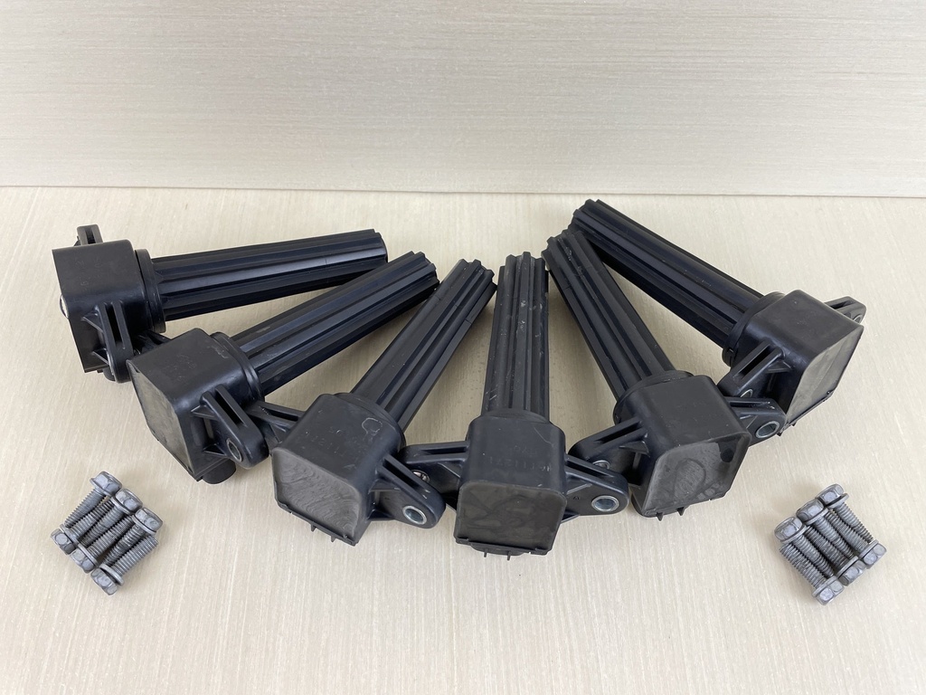 2006 Yamaha 250HP 4 Stroke Outboard Ignition Coil Assembly Set Of 6 6P2-82310-01-00