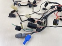2002 Yamaha 225HP 4 Stroke Engine Wire Harness Assembly 69J-82590-10-00 Parts