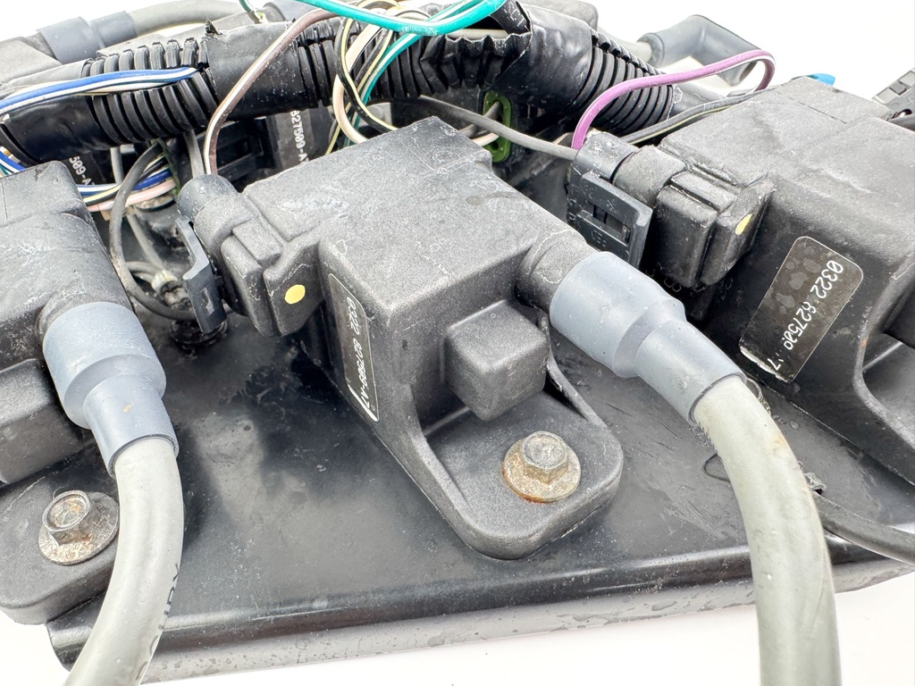 2002 Mercury 200 HP 2 Stroke Outboard Ignition Coil Set W/ Plate 827509T7 OEM