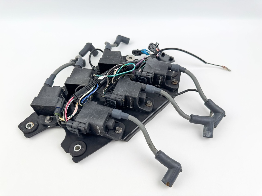 2002 Mercury 200 HP 2 Stroke Outboard Ignition Coil Set W/ Plate 827509T7 OEM