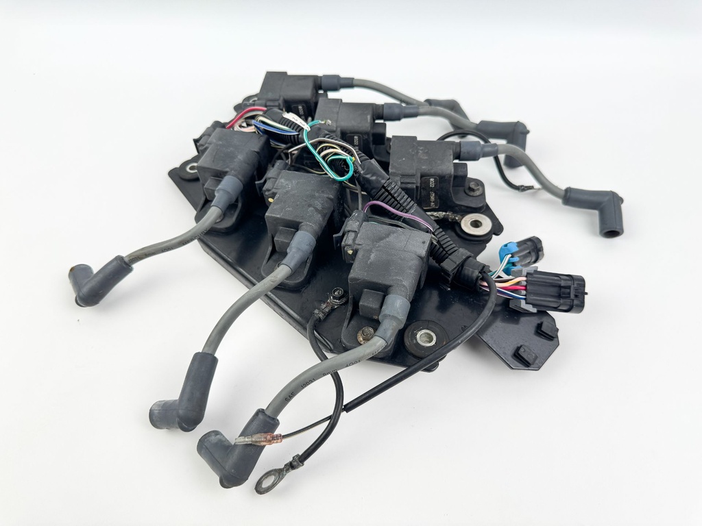2002 Mercury 200 HP 2 Stroke Outboard Ignition Coil Set W/ Plate 827509T7 OEM