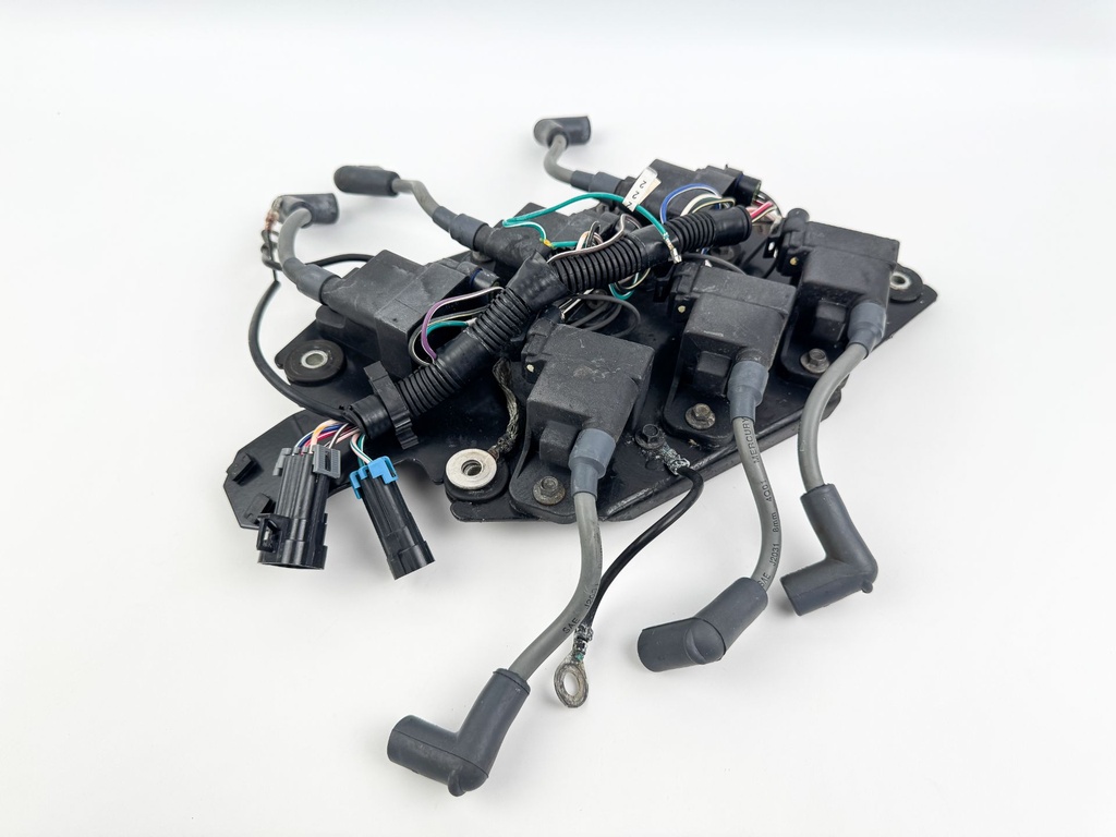 2002 Mercury 200 HP 2 Stroke Outboard Ignition Coil Set W/ Plate 827509T7 OEM