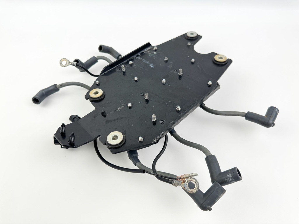 2002 Mercury 200 HP 2 Stroke Outboard Ignition Coil Set W/ Plate 827509T7 OEM