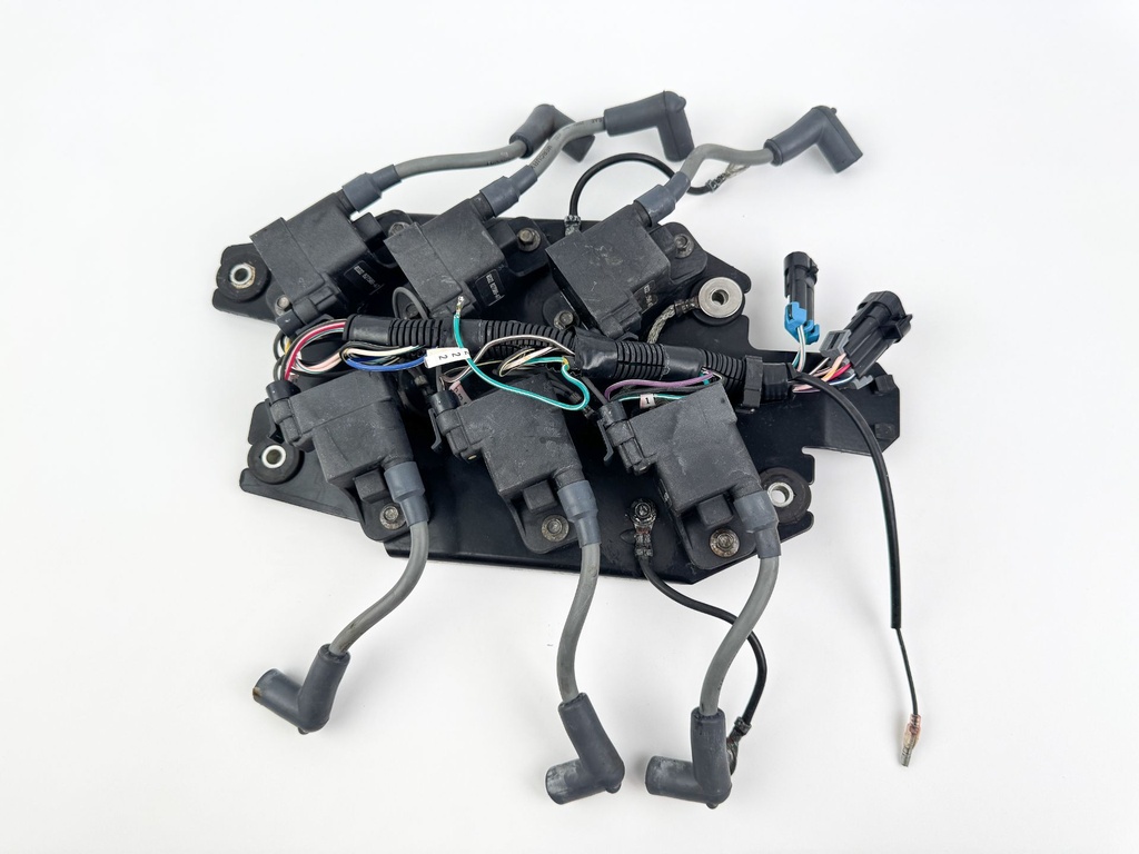 2002 Mercury 200 HP 2 Stroke Outboard Ignition Coil Set W/ Plate 827509T7 OEM