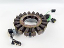 2012 Yamaha 300 HP 4 Stroke Outboard Coil Pulser Base Stator Assembly 6CE-81410-00-00 OEM