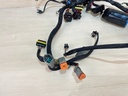 2007 Evinrude Etec 40HP Outboard Engine Wiring Harness Assembly 0586863