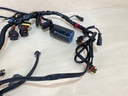 2007 Evinrude Etec 40HP Outboard Engine Wiring Harness Assembly 0586863