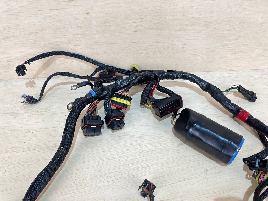 2007 Evinrude Etec 40HP Outboard Engine Wiring Harness Assembly 0586863