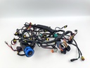 2013 Evinrude 150 HP 2 Stroke Outboard Engine Wire Harness 0587010 OEM
