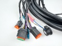 Johnson Evinrude BRP Outboard Main Control Wiring Harness Cable 20'