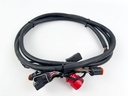 Genuine OMC Wiring Harness Adapter Red Plug to 6 Pin 0176349