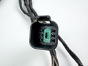 Genuine OMC Wiring Harness Adapter Red Plug to 6 Pin 0176349