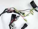 1988 Yamaha 130 HP 2 Stroke Outboard Engine Wire Harness 6E5-82590-11-00 OEM