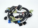 2001 Yamaha 40 HP 4 Stroke Outboard Engine Wire Harness 67C-82590-20-00 OEM