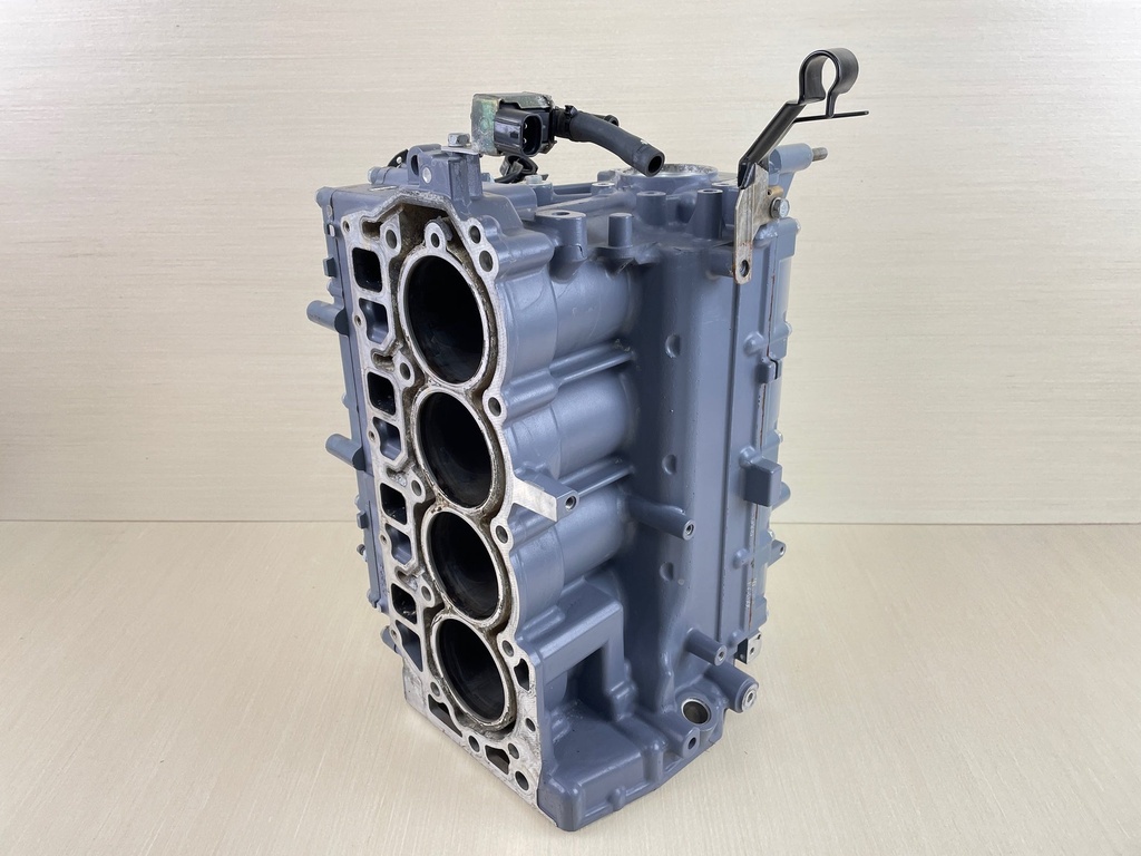 2006 Yamaha 50HP 4 Stroke Outboard Crankcase Crank Case Assembly 6C5-15100-10-1S