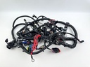 2015 Mercury 300 HP 4 Stroke Outboard Engine Wire Harness 8M0102454 OEM