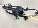 2002 Yamaha 30HP F30 Outboad Engine Wire Harness 67C-82590-20-00  