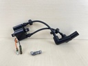 2010 Yamaha 25HP 4 Stroke Outboard Ignition Coil Assembly 6F5-85570-13-00  