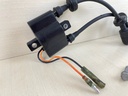 2010 Yamaha 25HP 4 Stroke Outboard Ignition Coil Assembly 6F5-85570-13-00  