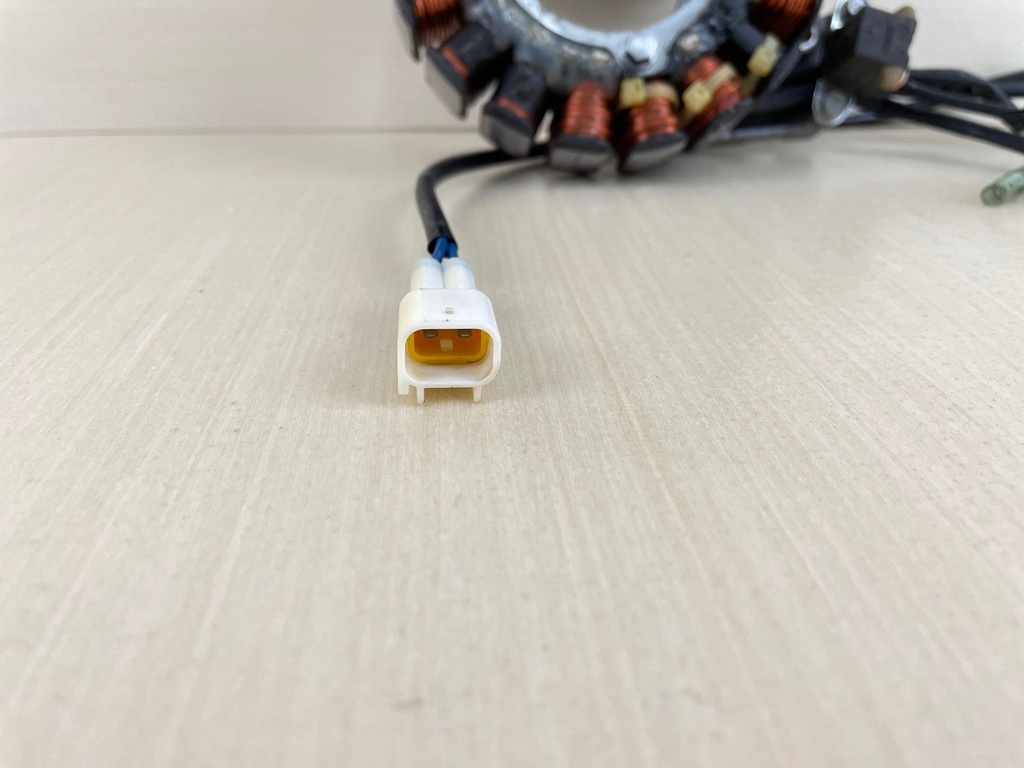 2010 Yamaha 25HP 4 Stroke Stator & Coil Pulser Assembly 6BL-85510-00-00  