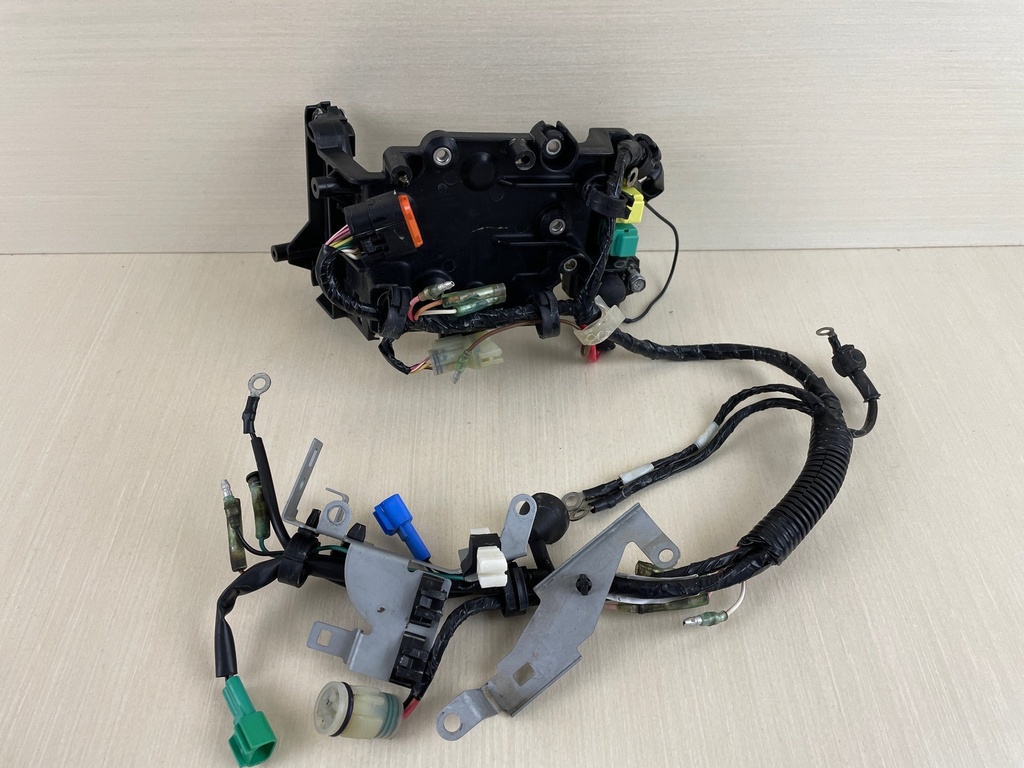 2010 Yamaha 25HP 4 Stroke Outboard Engine Wire Harness 6BL-82590-41-00