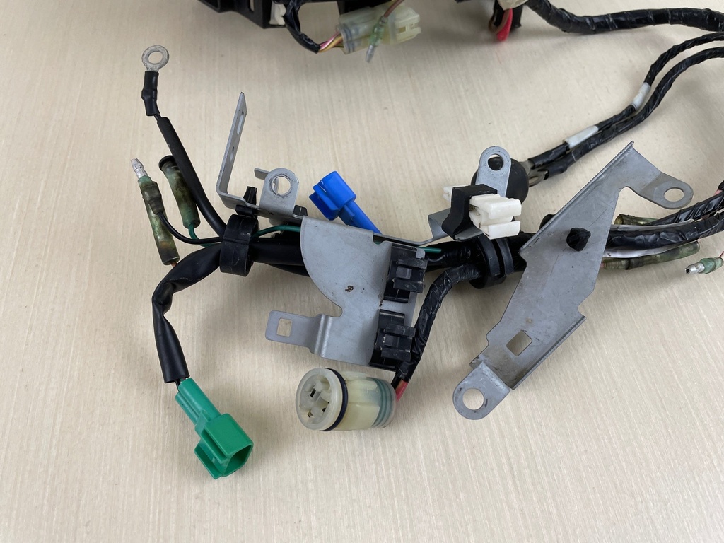 2010 Yamaha 25HP 4 Stroke Outboard Engine Wire Harness 6BL-82590-41-00