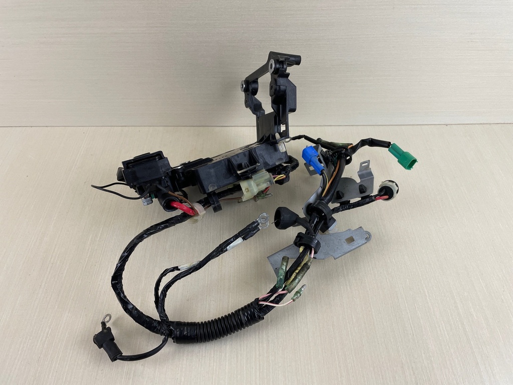 2010 Yamaha 25HP 4 Stroke Outboard Engine Wire Harness 6BL-82590-41-00