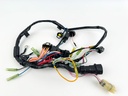 2000 Yamaha 80 HP 4 Stroke Outboard Engine Wire Harness 67F-82590-00-00 OEM