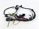 2000 Yamaha 80 HP 4 Stroke Outboard Engine Wire Harness 67F-82590-00-00 OEM