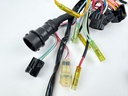 2000 Yamaha 80 HP 4 Stroke Outboard Engine Wire Harness 67F-82590-00-00 OEM