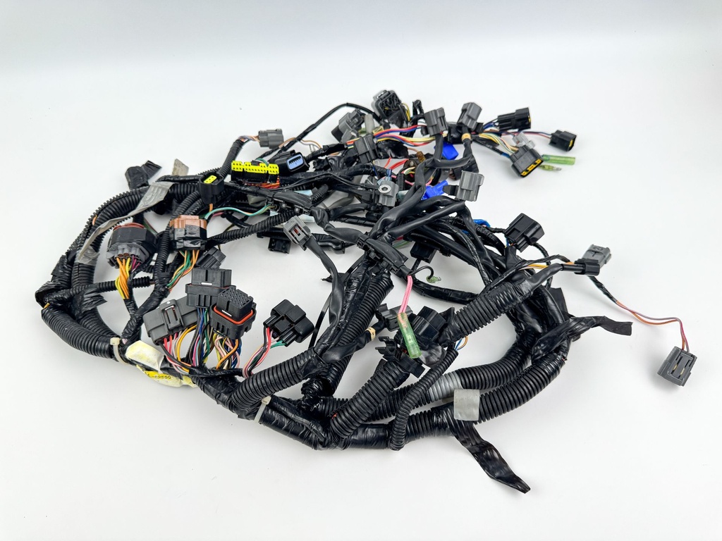 Yamaha 300 HP 2 Stroke Outboard Wire Harness Assembly 6D0-82590-22-00
