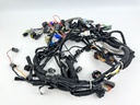 Yamaha 300 HP 2 Stroke Outboard Wire Harness Assembly 6D0-82590-22-00