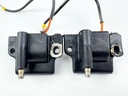 2005 Evinrude 250 HP 2 Stroke Outboard Ignition Coil Set 0586857 OEM