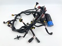 2005-2007 Evinrude 200 225 250 HP Etec Engine Wire Harness 0586769