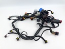 2005-2007 Evinrude 200 225 250 HP Etec Engine Wire Harness 0586769