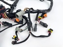2005-2007 Evinrude 200 225 250 HP Etec Engine Wire Harness 0586769