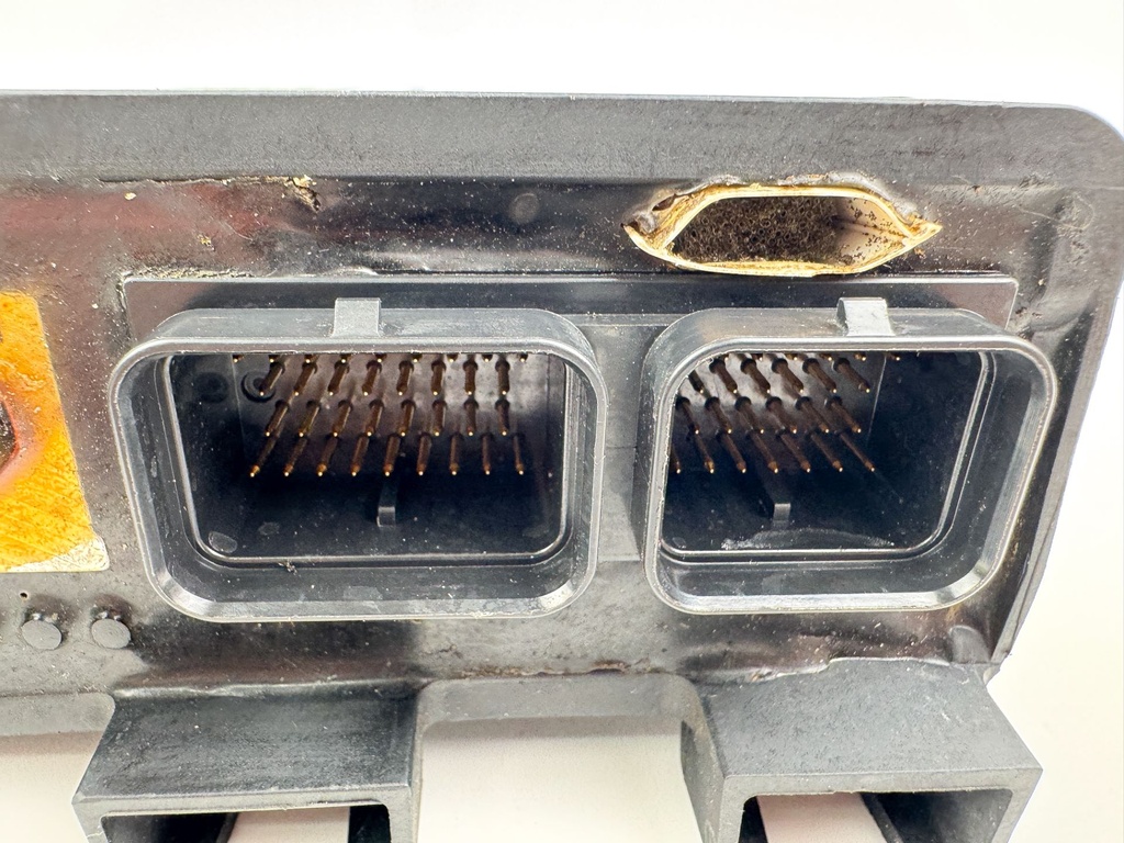 2005 Evinrude 250 HP 2 Stroke Outboard Engine Control Unit ECU 0586707 OEM