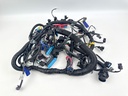 2014 Mercury 300 HP 4 Stroke Outboard Engine Wire Harness 880616T07 OEM