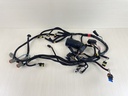 2008 Evinrude 50HP Etec 2 Stroke Outboard Engine Wire Harness Assembly 0586972