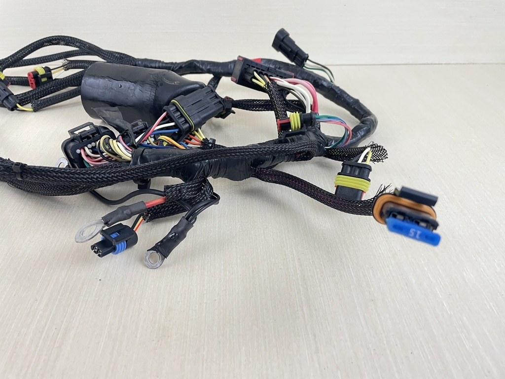 2008 Evinrude 50HP Etec 2 Stroke Outboard Engine Wire Harness Assembly 0586972