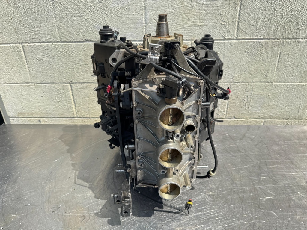 2006 Evinrude 225 250HP Etec 2 Stroke Outboard Powerhead 5005909 OEM