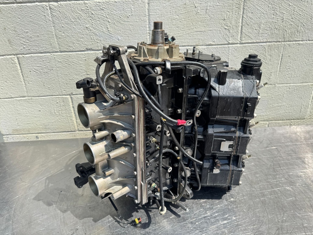 2006 Evinrude 225 250HP Etec 2 Stroke Outboard Powerhead 5005909 OEM