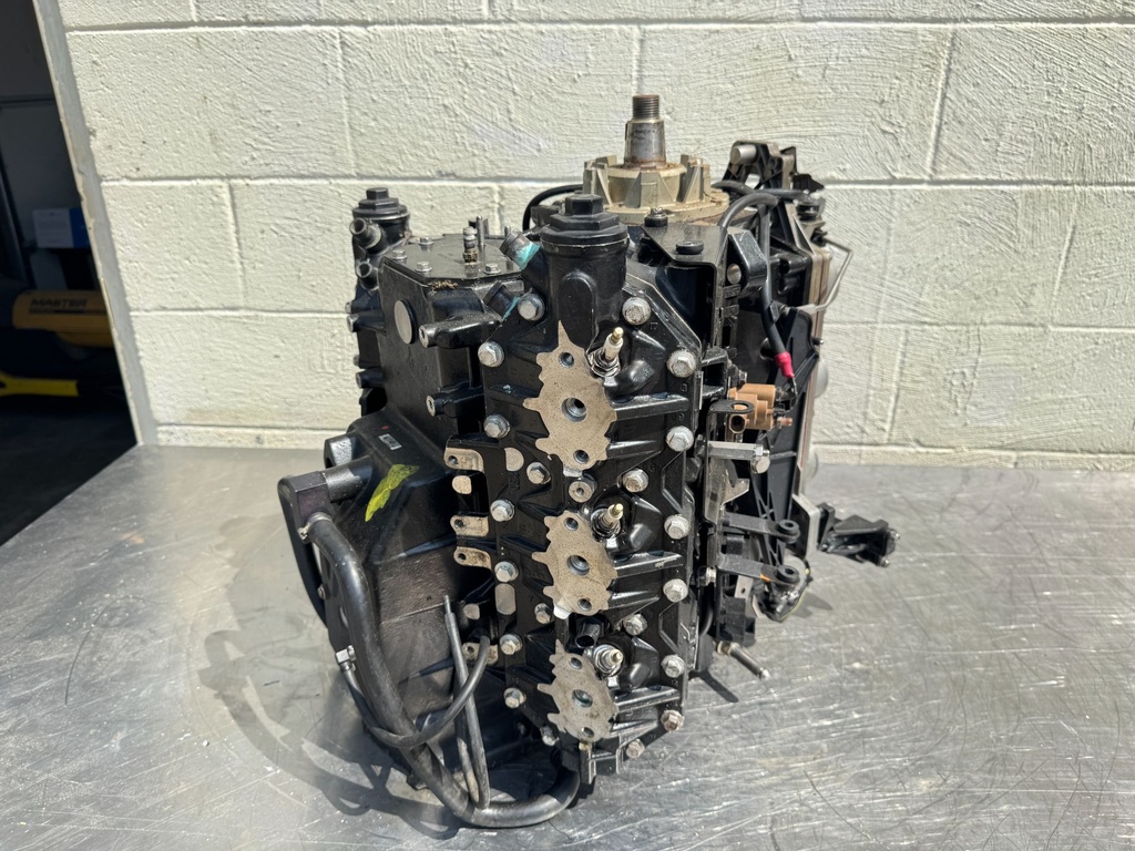 2006 Evinrude 225 250HP Etec 2 Stroke Outboard Powerhead 5005909 OEM