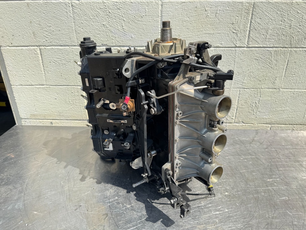 2006 Evinrude 225 250HP Etec 2 Stroke Outboard Powerhead 5005909 OEM